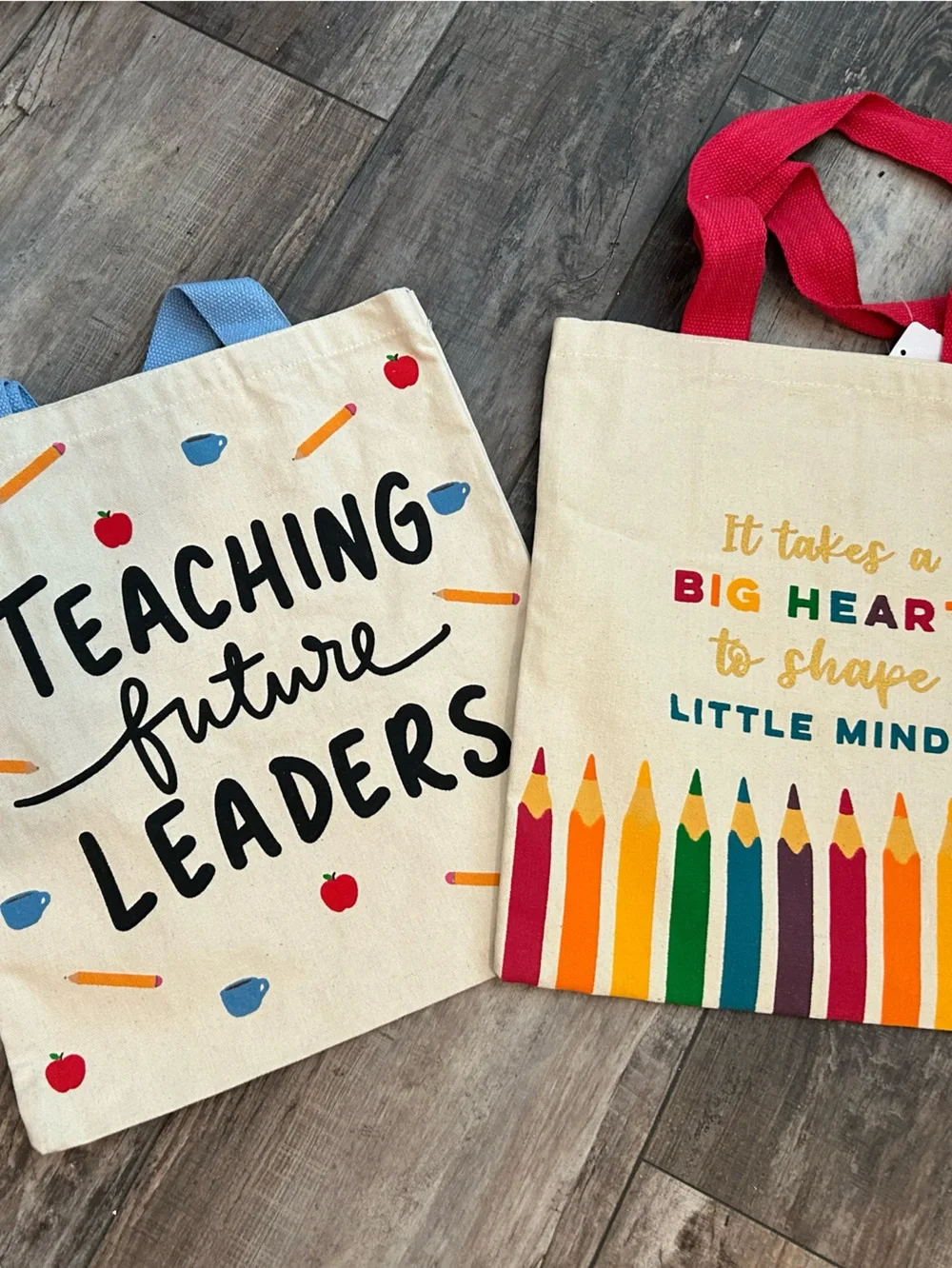 Canvas Kids Tote Bag Lot 14x15 Teaching Future Leaders
